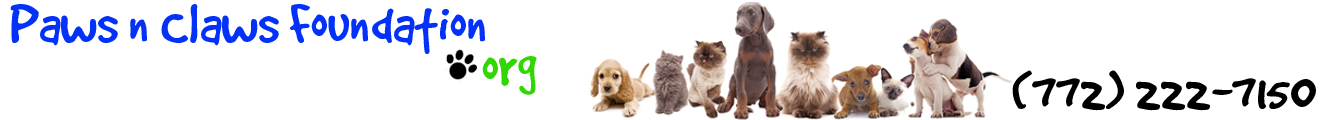 Paws n Claws Foundation